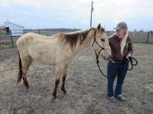 Jennifer caring for recently rescued horse Justin Time.