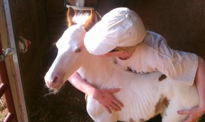 Jennifer and Easter, a foal born to a recently seized mare.